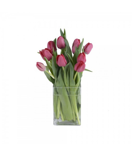 Les tulipes enchantées